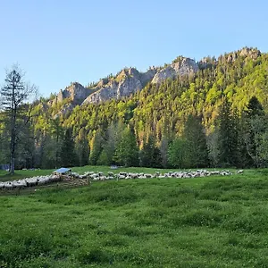 foglaljon itt